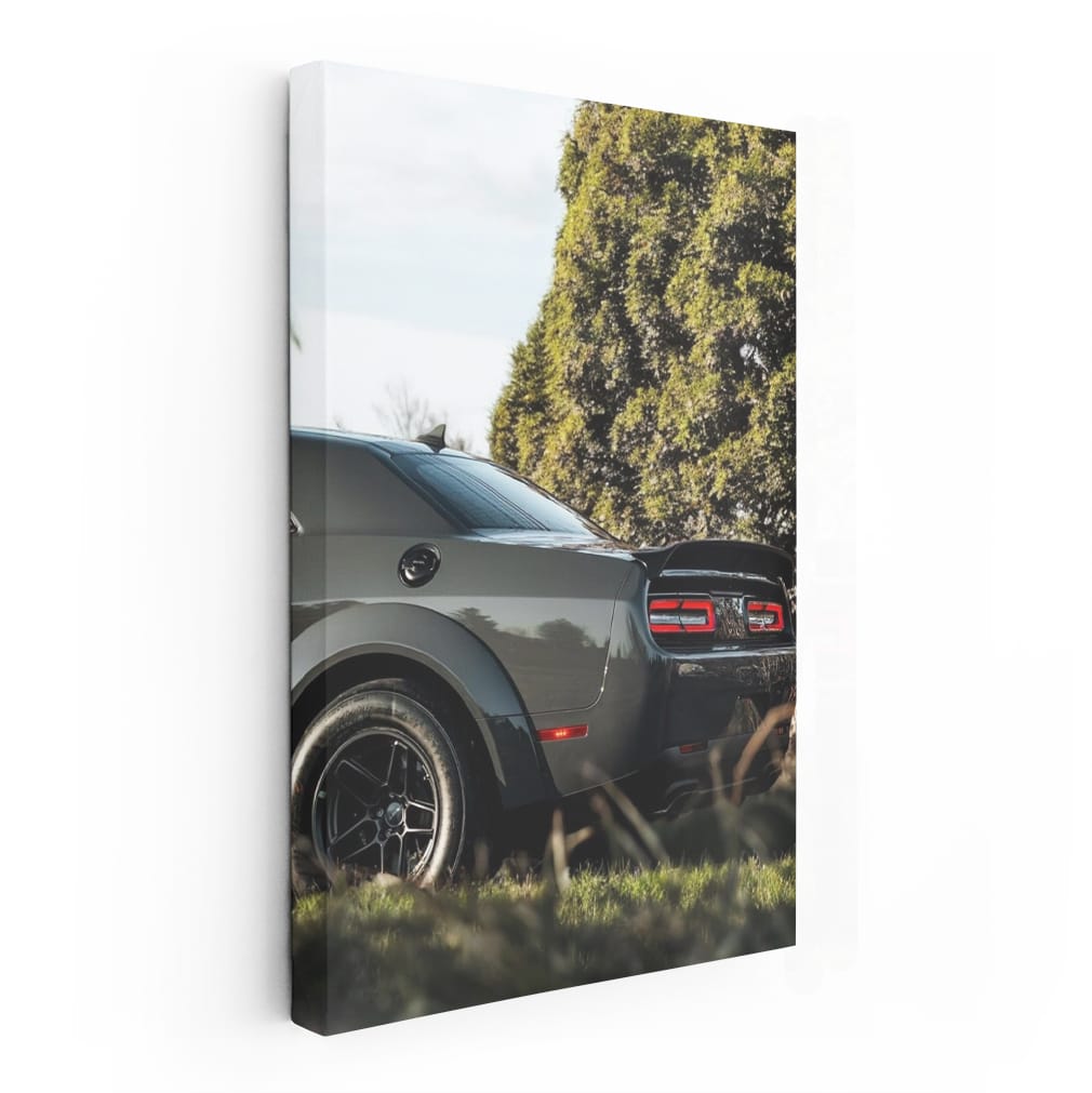 Evading Nature's Elements - Dodge 1 NTZK: Rugged Resilience