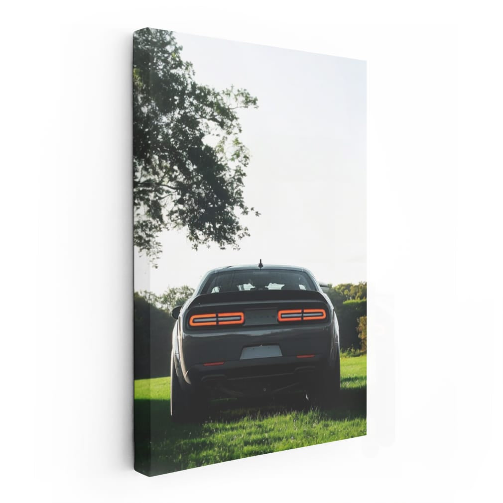 Dodge in Wild - Rugged Adventure Awaits