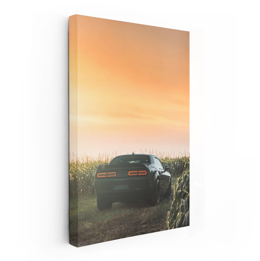 Dodge Sprint in Field - Rugged Adventure Awaits