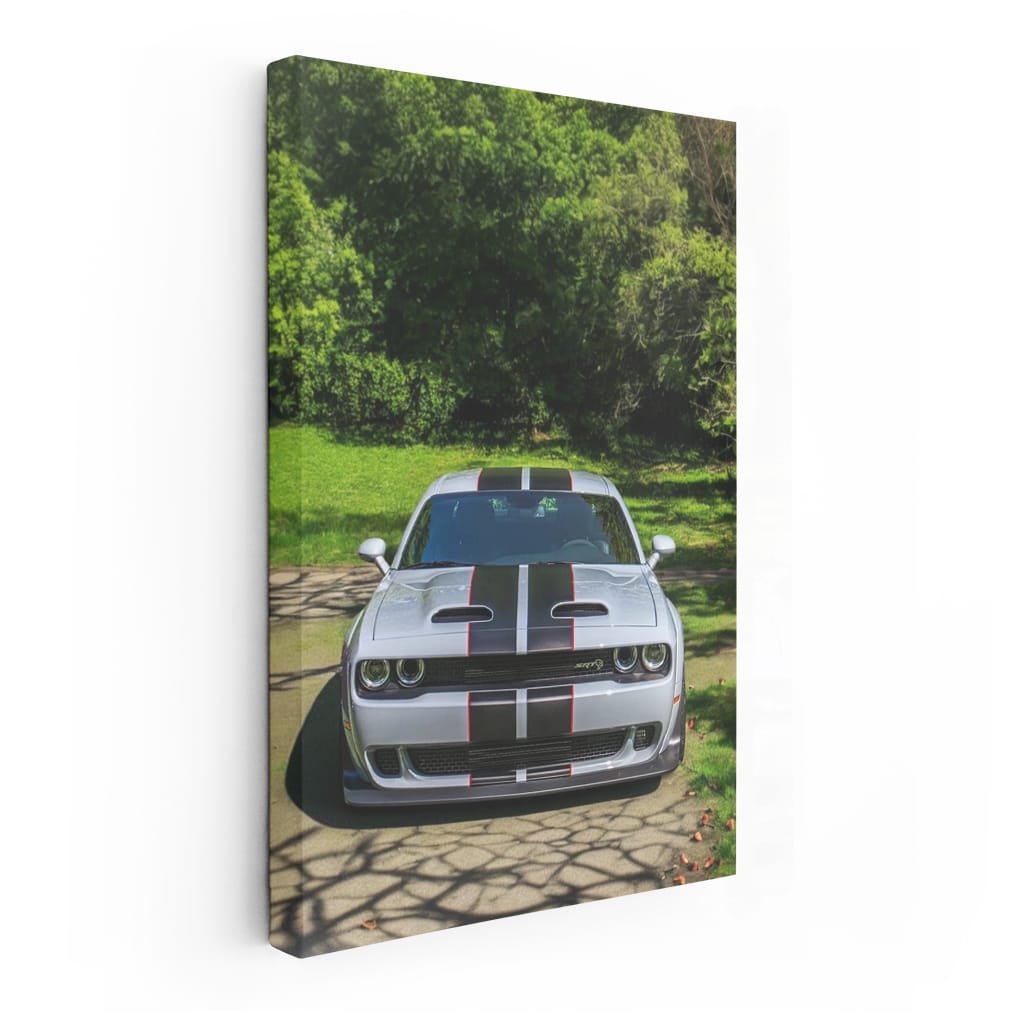 Summer Dodge Park Thrills - Classic Car Adventure