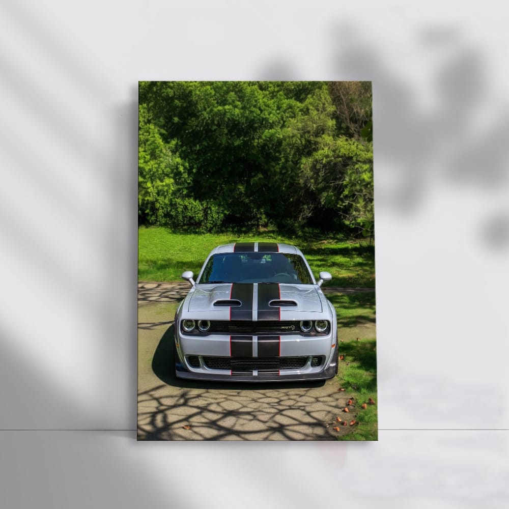 Summer Dodge Park Thrills - Classic Car Adventure