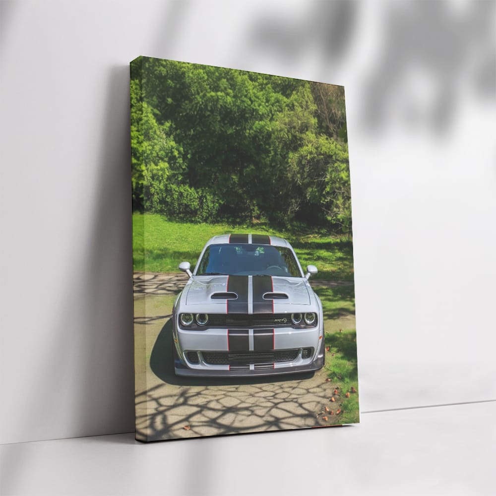 Summer Dodge Park Thrills - Classic Car Adventure