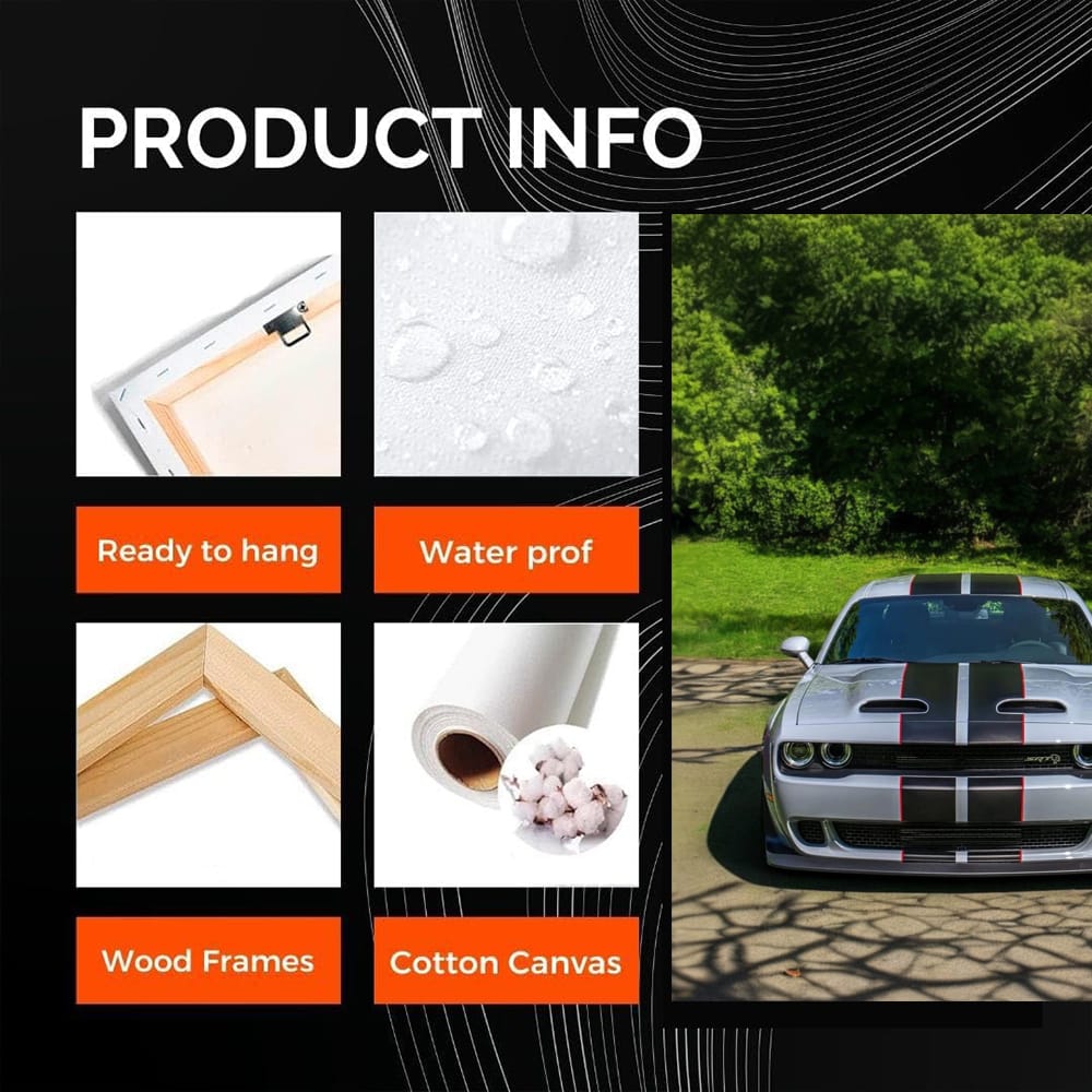 Summer Dodge Park Thrills - Classic Car Adventure