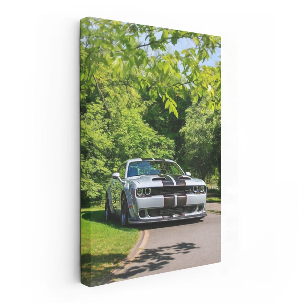 Summer Park Dodge - Classic Ride Adventure