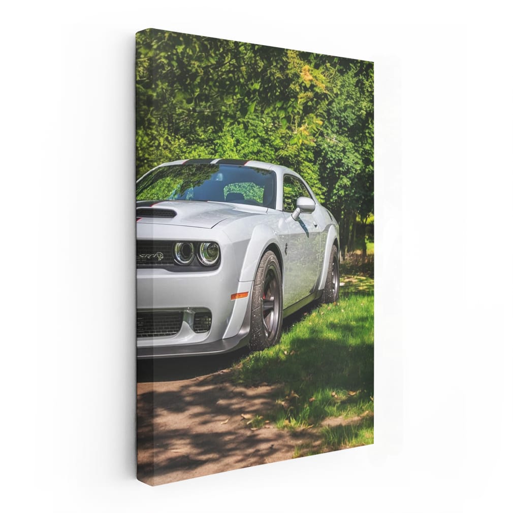 Summer Park Dodge - Dynamic Drive Experience