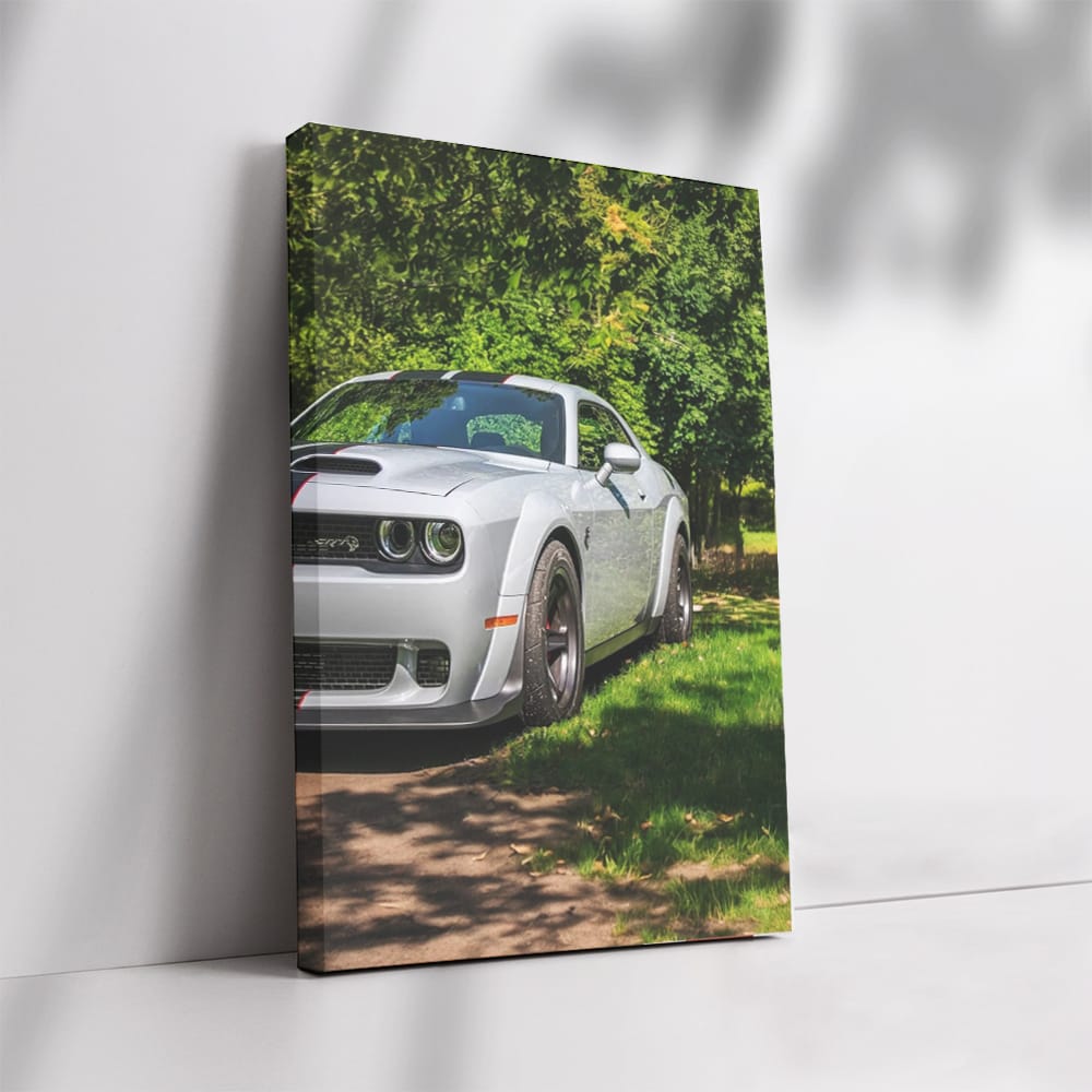 Summer Park Dodge - Dynamic Drive Experience