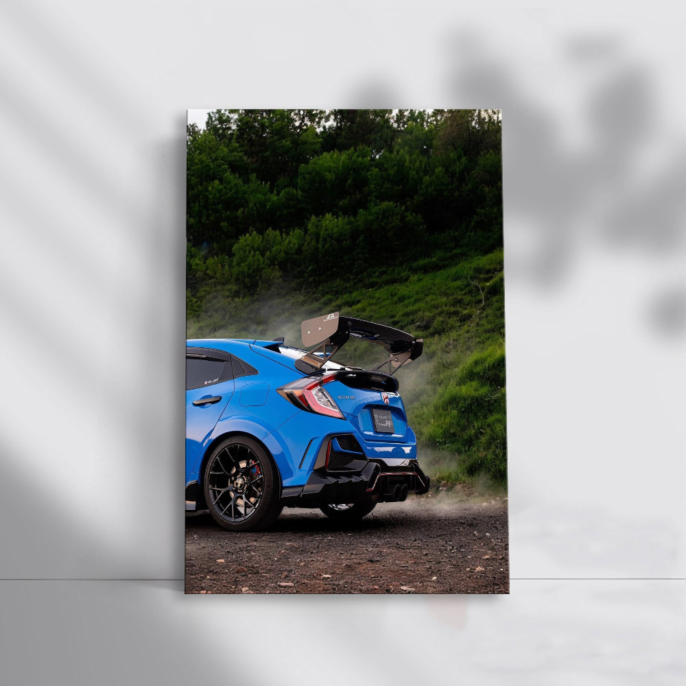 Honda Civic in Blue: Urban Style Meets Nature's Serenity