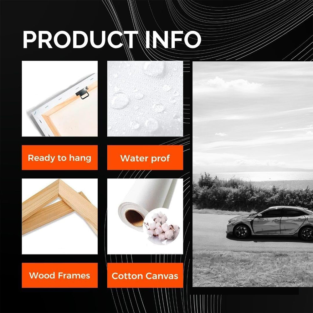 Honda Civic Black White 1 - Sleek and Stylish Ride