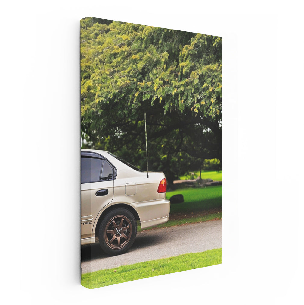 Honda Civic Amidst Nature - Sleek and Reliable Ride