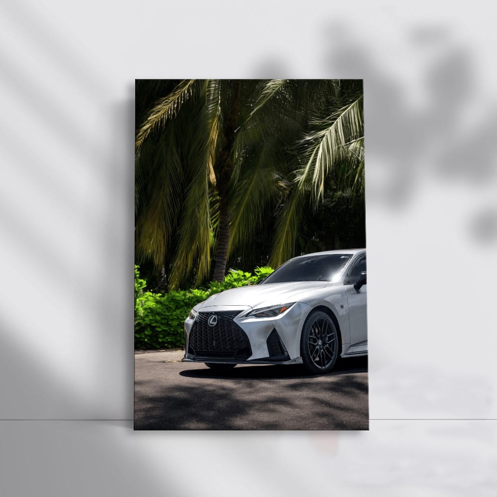 Lexus IS 500 Beneath Palm Trees - Power and Elegance