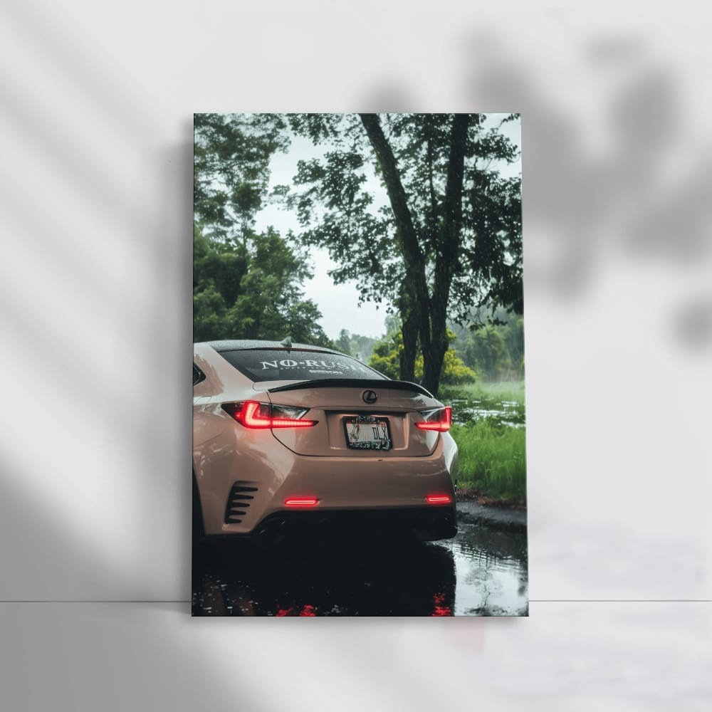 Lexus in Woods - Rugged Elegance on Wheels