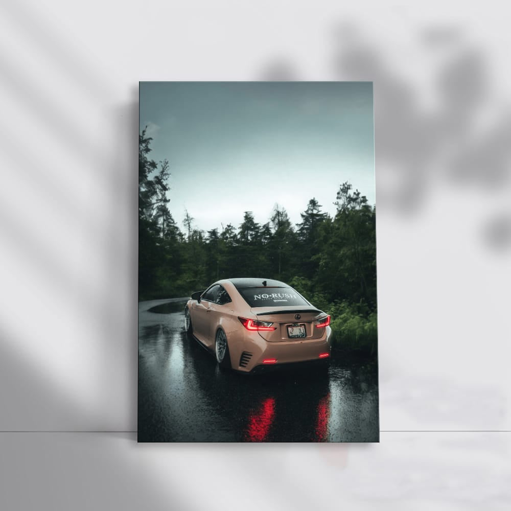 Lexus in Woods - Spacious and Sleek Adventure