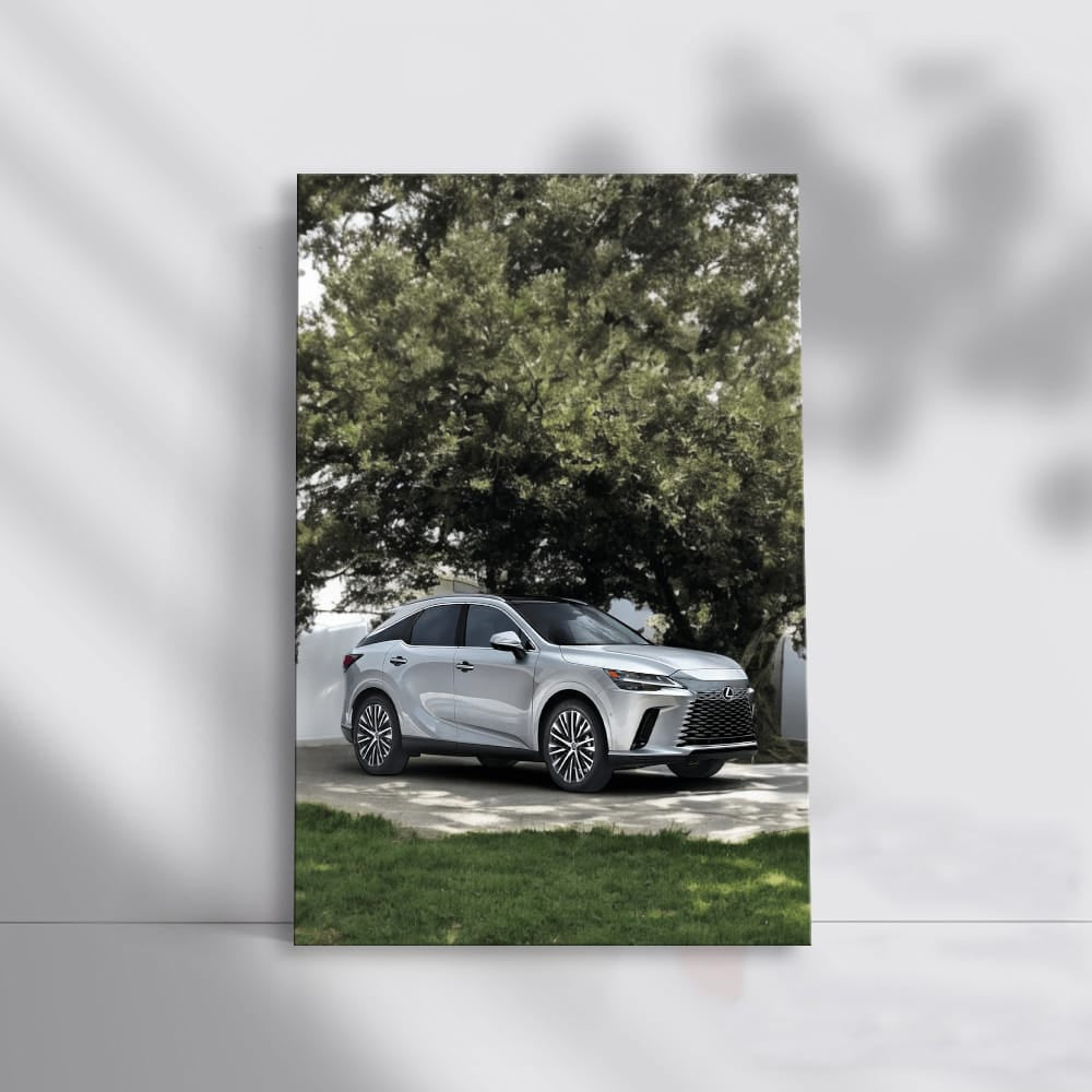 Lexus Parked in Yard - Sleek and Stylish Ride