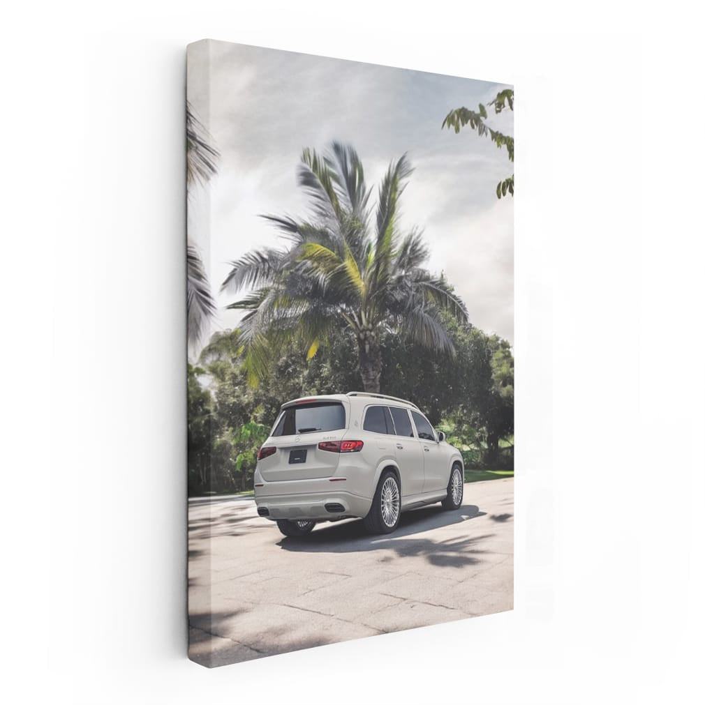 Maybach GLS 600 - Luxury Beneath Palm Tree - Elegance in Motion
