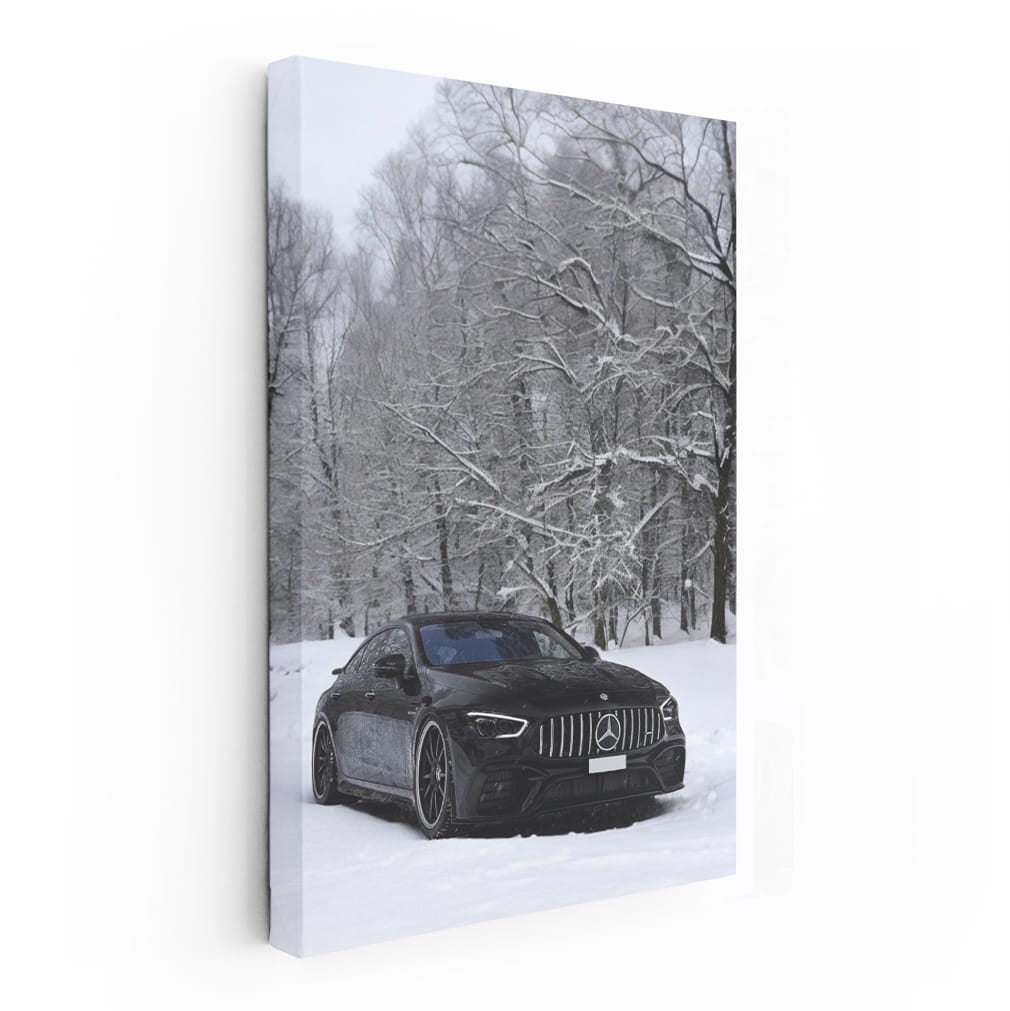 Mercedes-AMG GT63 Winter Warrior - Blend of Power and Elegance