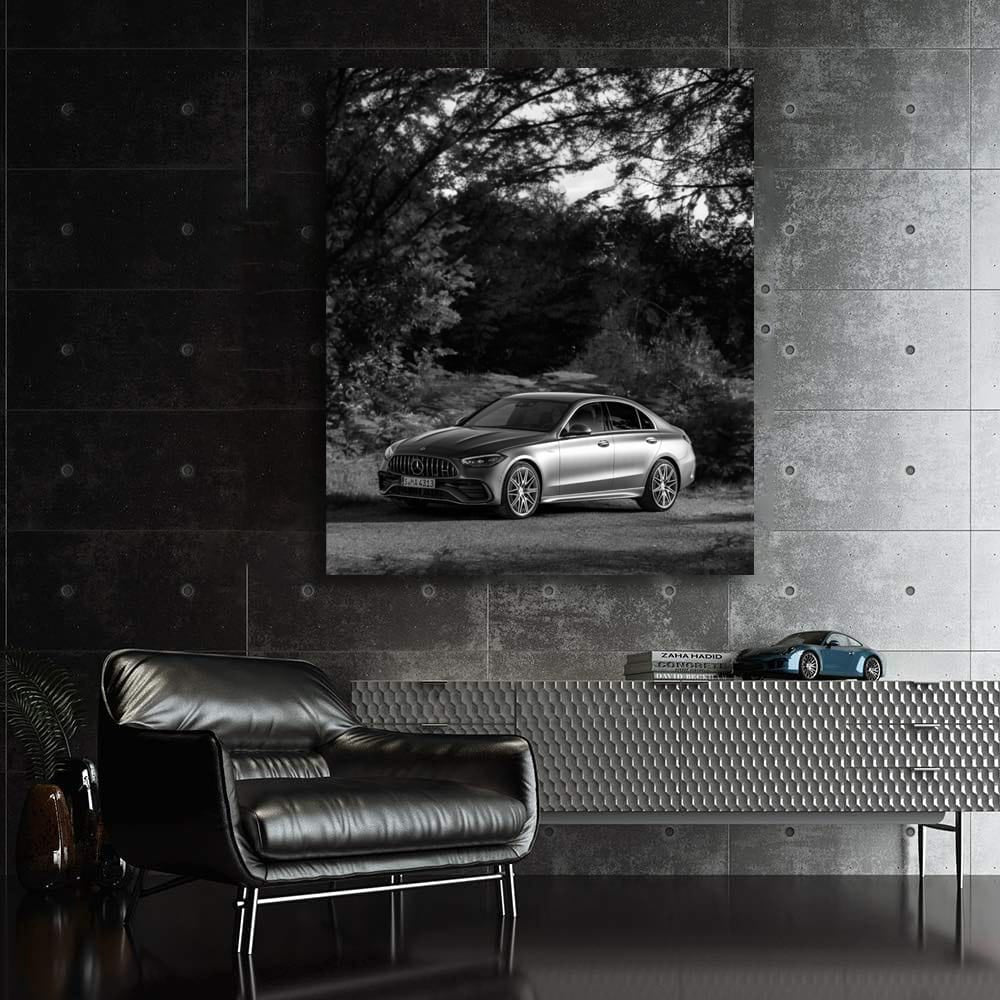 Mercedes Nature BW - Elegant and Timeless Design