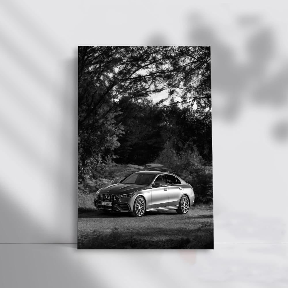 Mercedes Nature BW - Elegant and Timeless Design