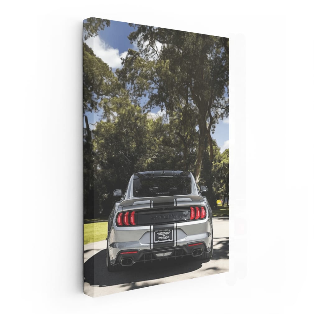 Ford Mustang Shelby GT500 in Nature - Power and Elegance