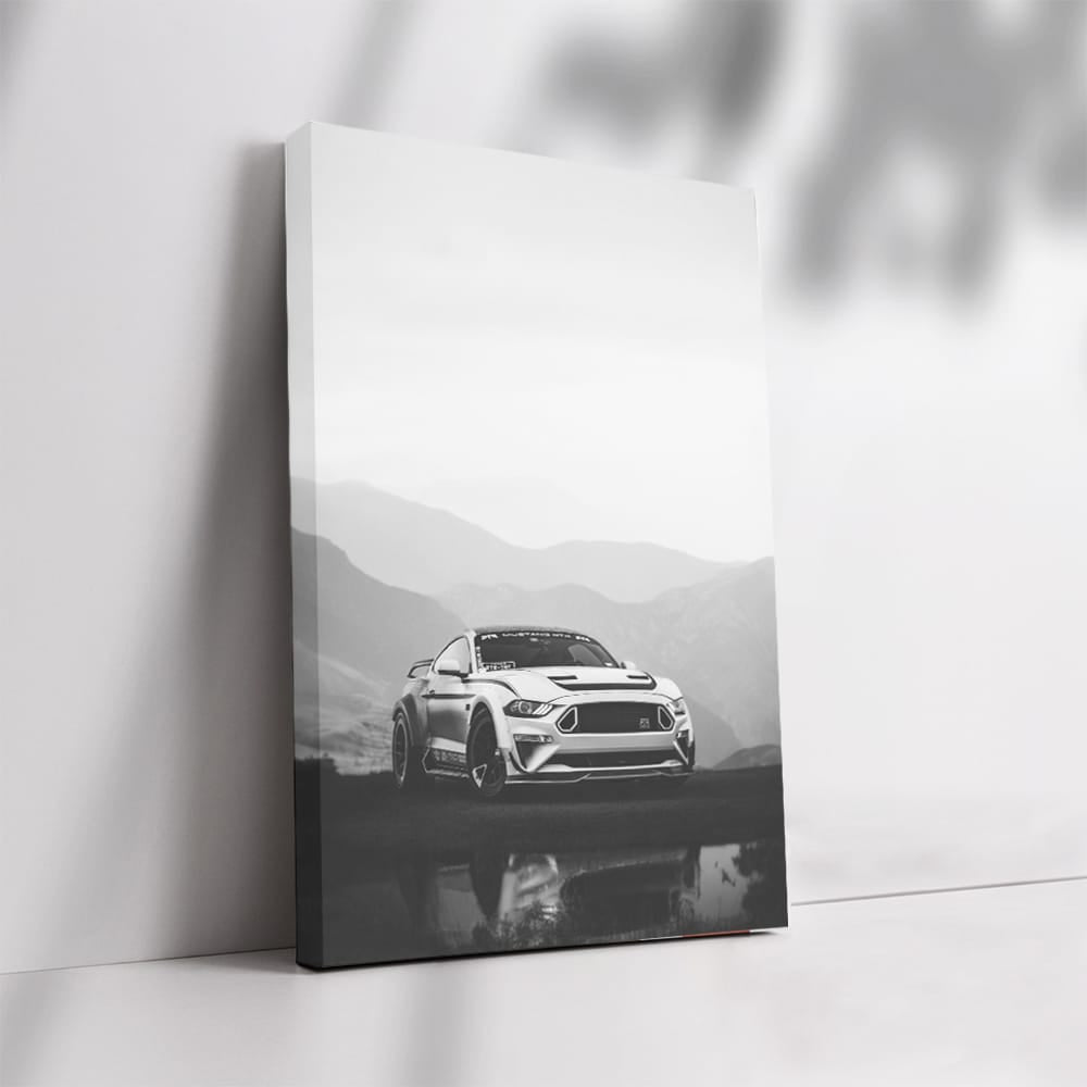 Black & White Mustang - Classic American Muscle