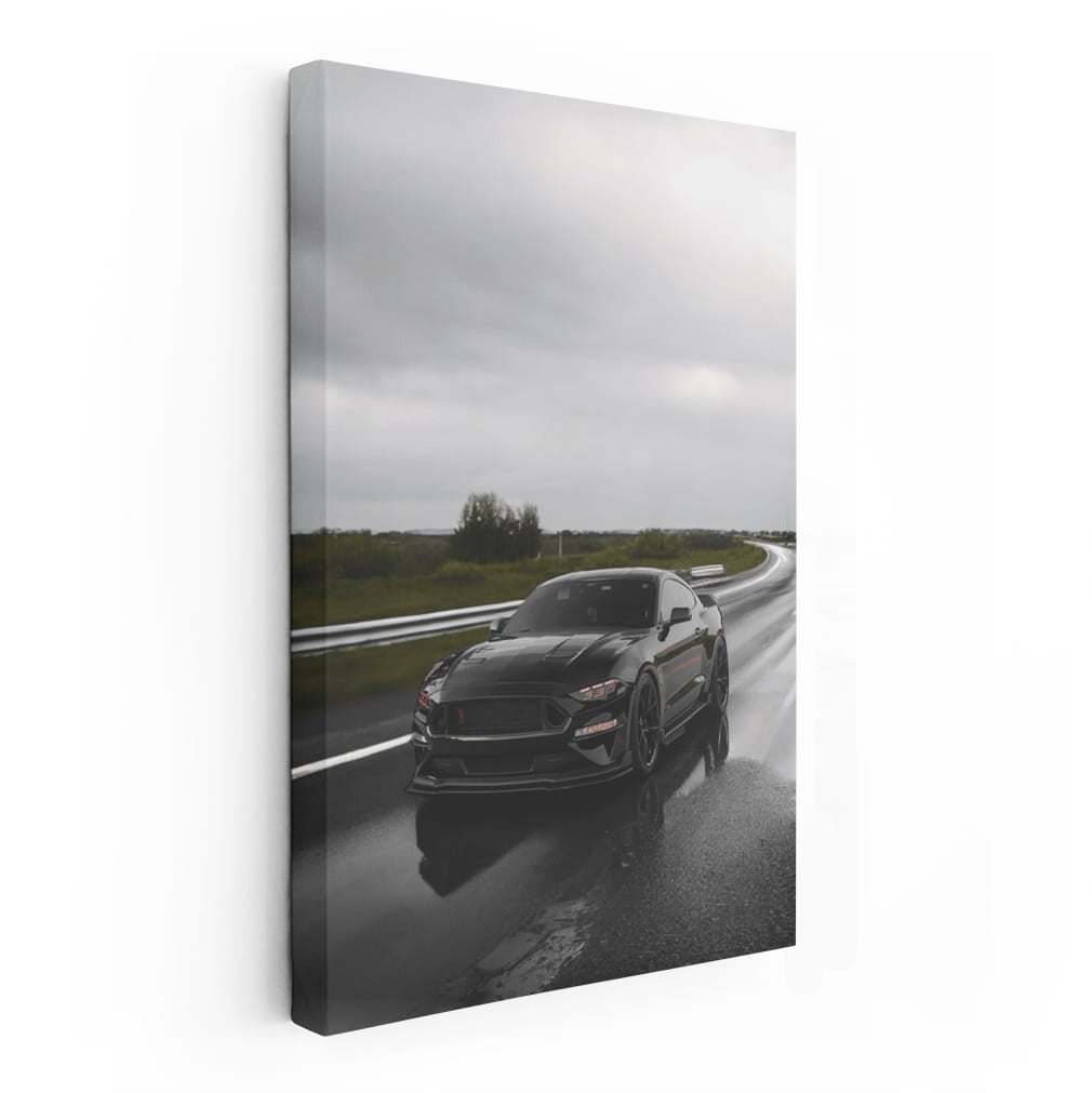 Mustang Cruising Highway - Power and Style