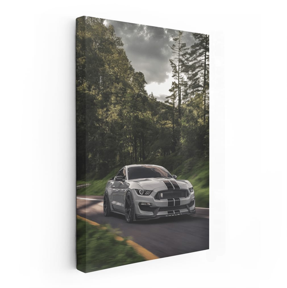 Grey Mustang Roaming Woods - Wild and Powerful
