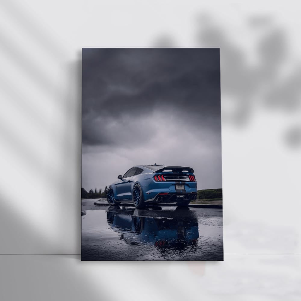 Foggy Mustang 1 - Elegance in Motion