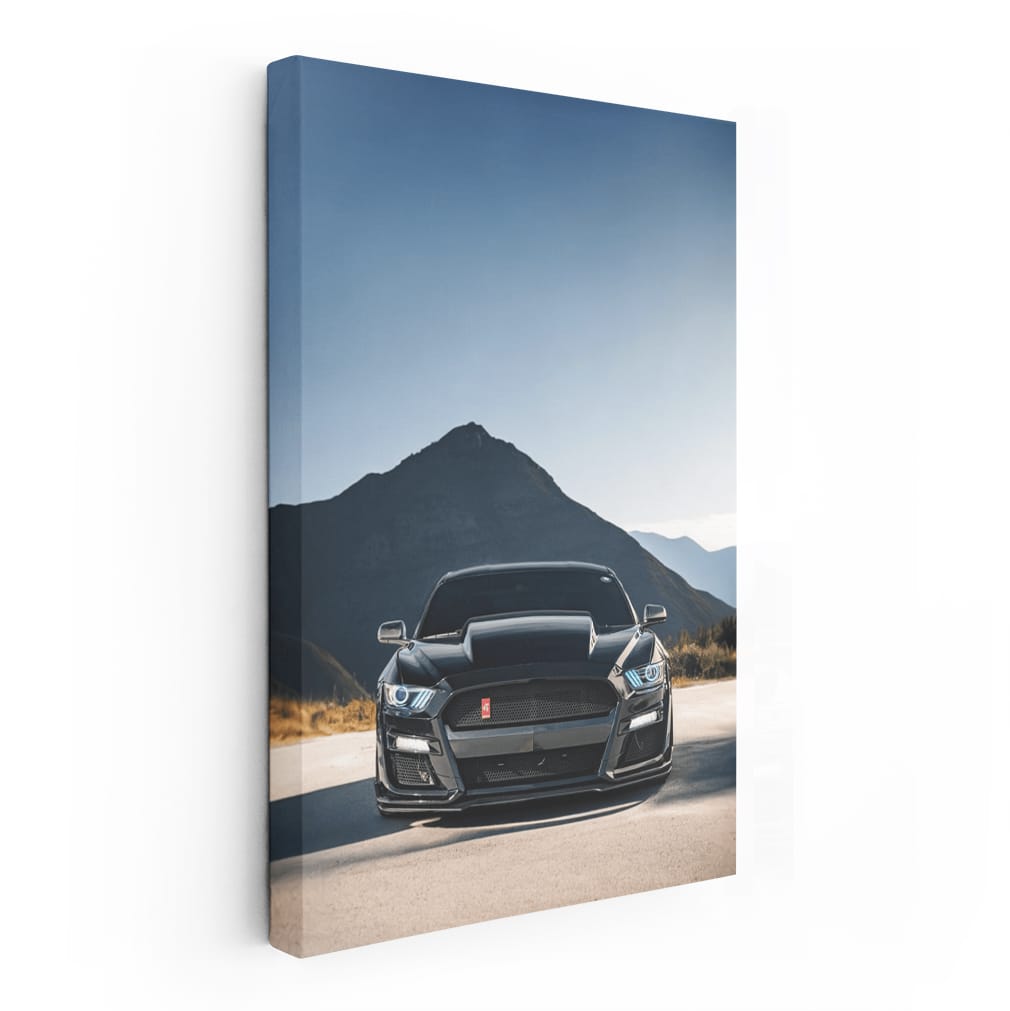 Mustang Roaming High in Mountains - Bold Iconic Ride