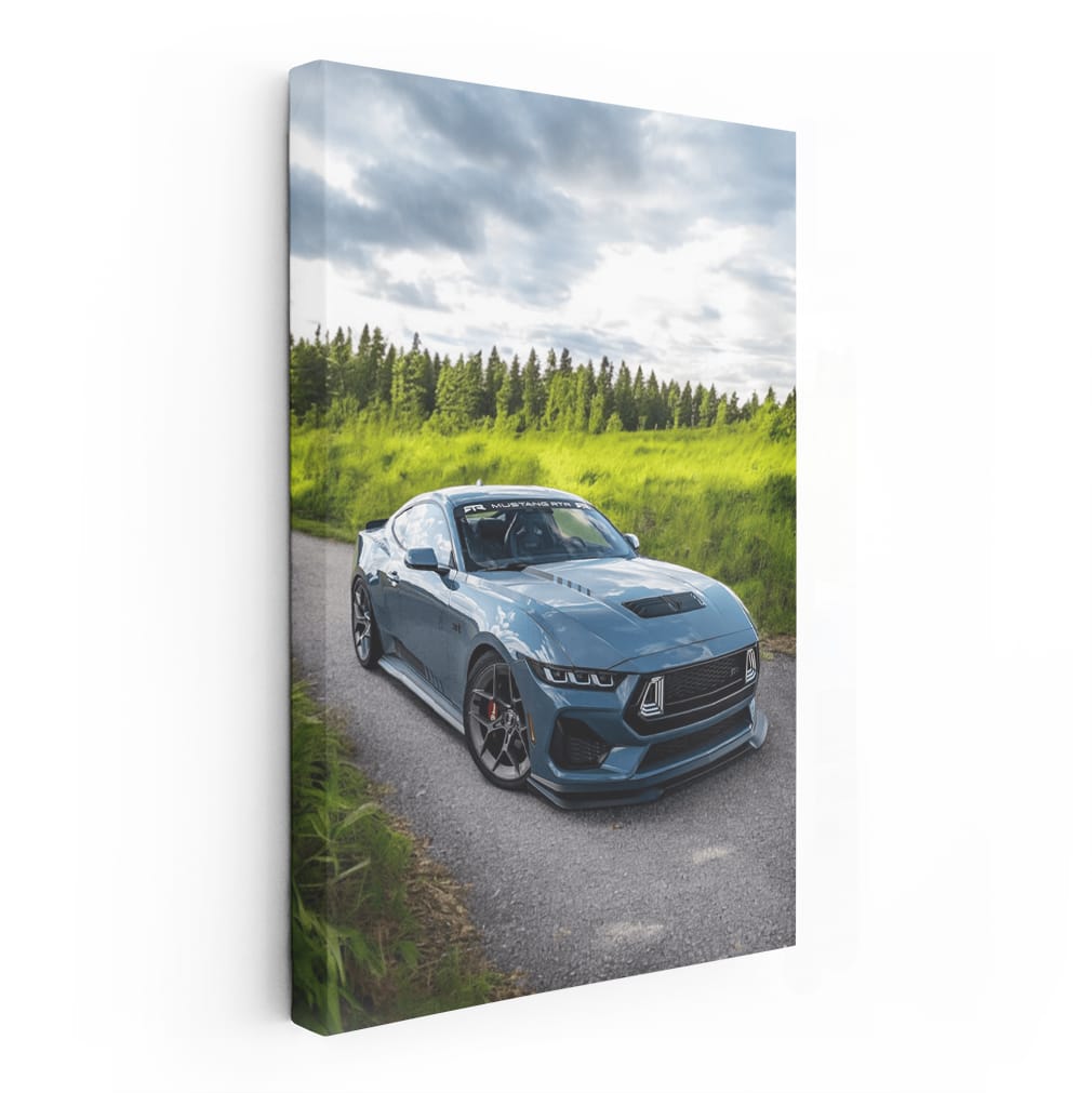 Mustang in Wild - Power, Freedom, and Adventure