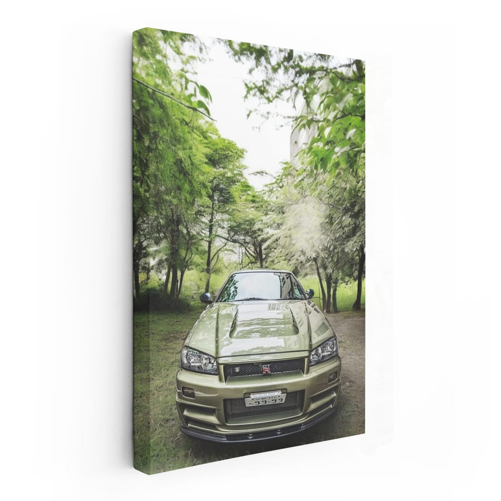 Nissan Skyline GT-R R34 in Nature - Iconic Performance Beast