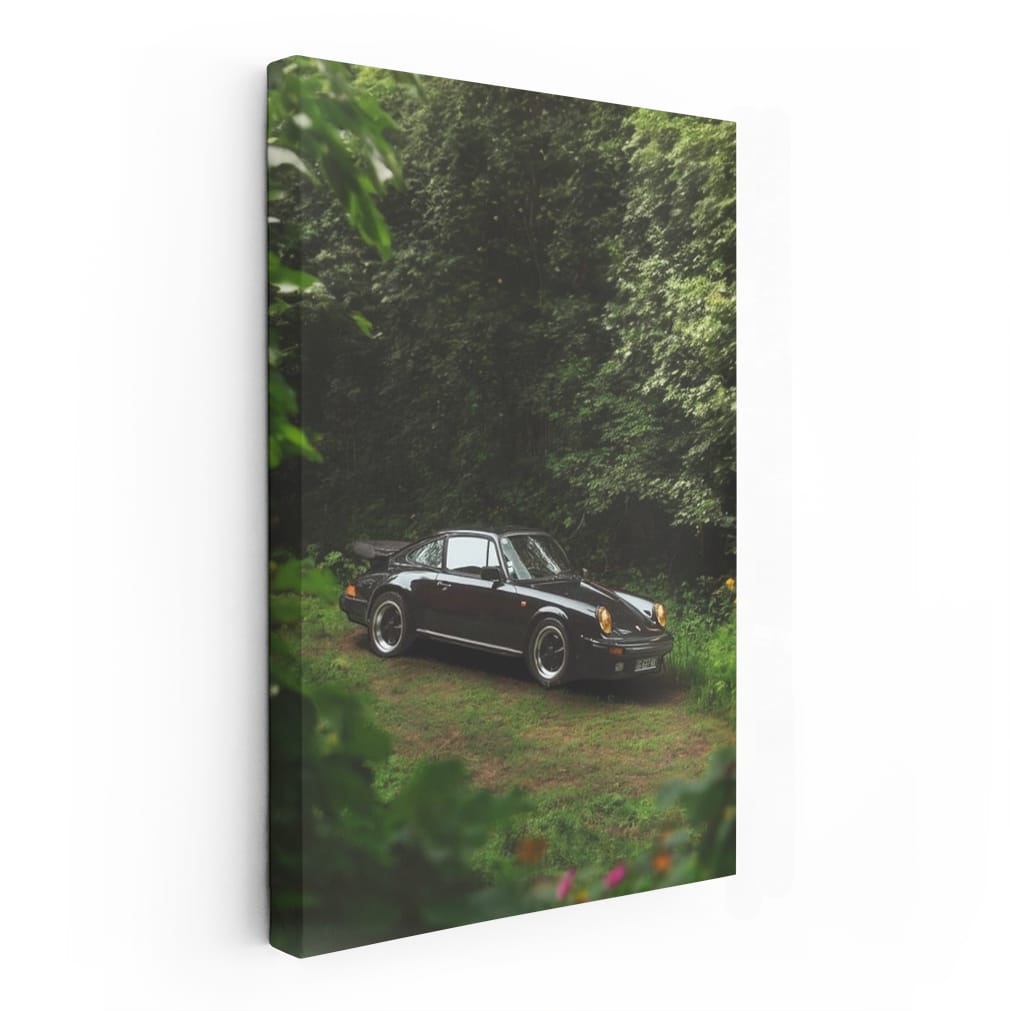 Classic Black 1987 Porsche 911 Carrera 3.2 in Forest - Timeless Elegance