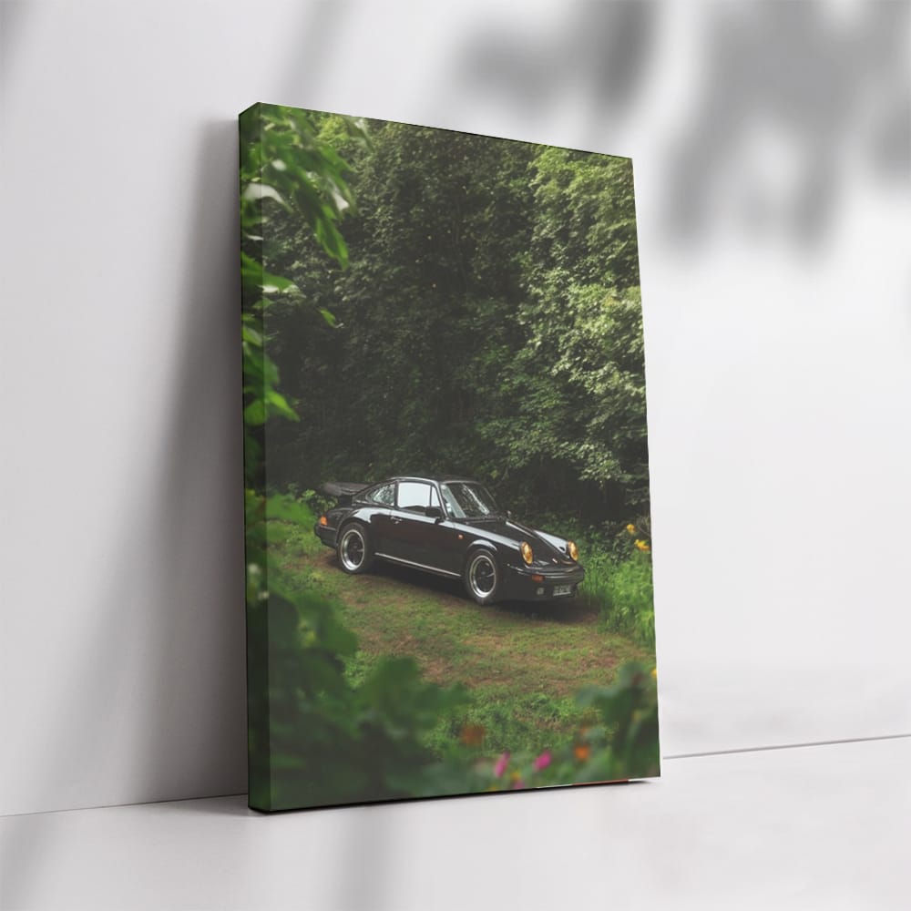 Classic Black 1987 Porsche 911 Carrera 3.2 in Forest - Timeless Elegance