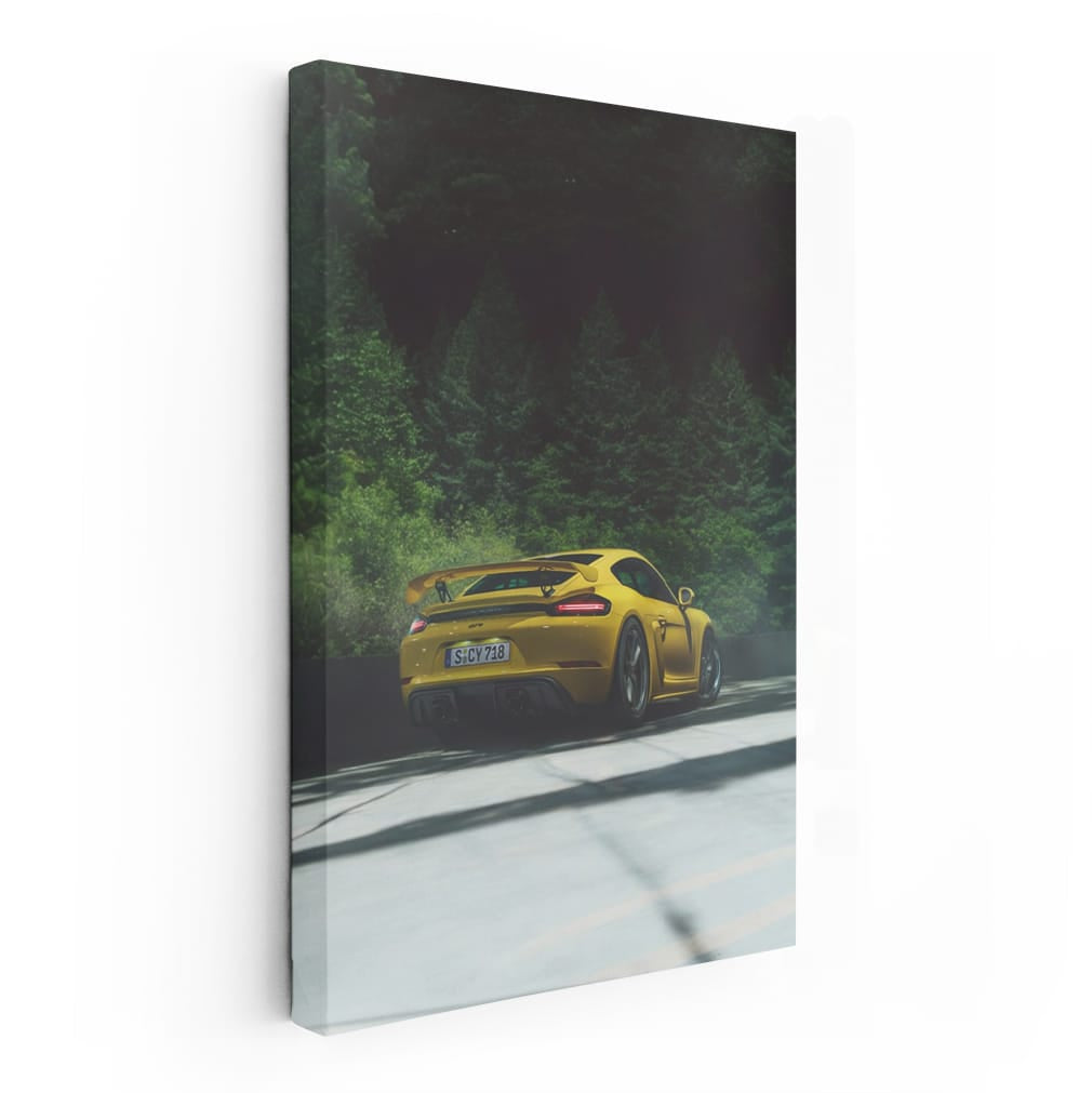 Porsche 911 GT3 RS in Nature - Speed Meets Elegance