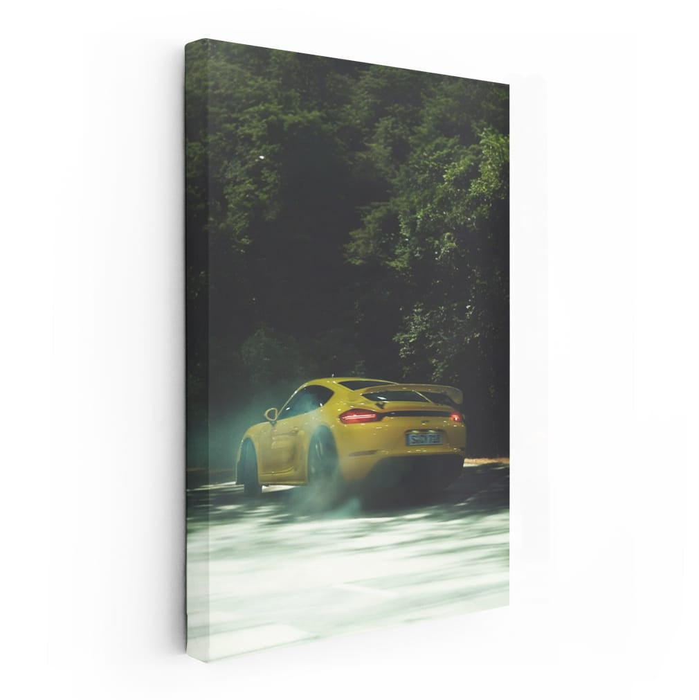 Porsche 911 GT3 RS in Nature - Performance Meets Precision