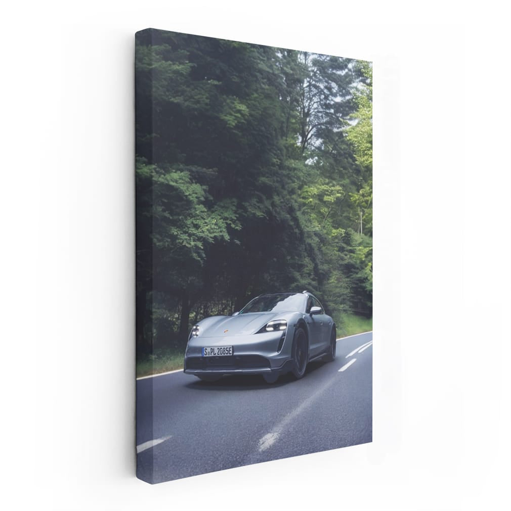 Black Porsche 911 Speedster in Nature - Sleek and Powerful