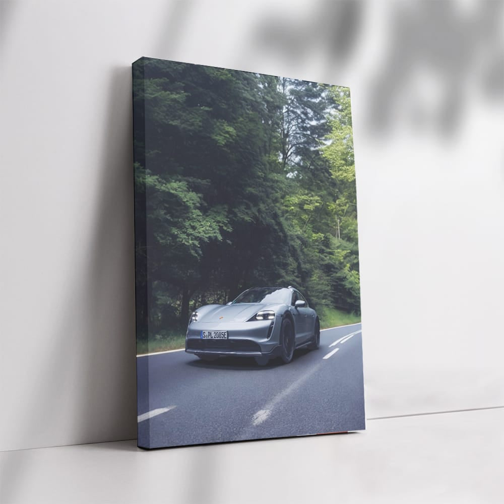 Black Porsche 911 Speedster in Nature - Sleek and Powerful