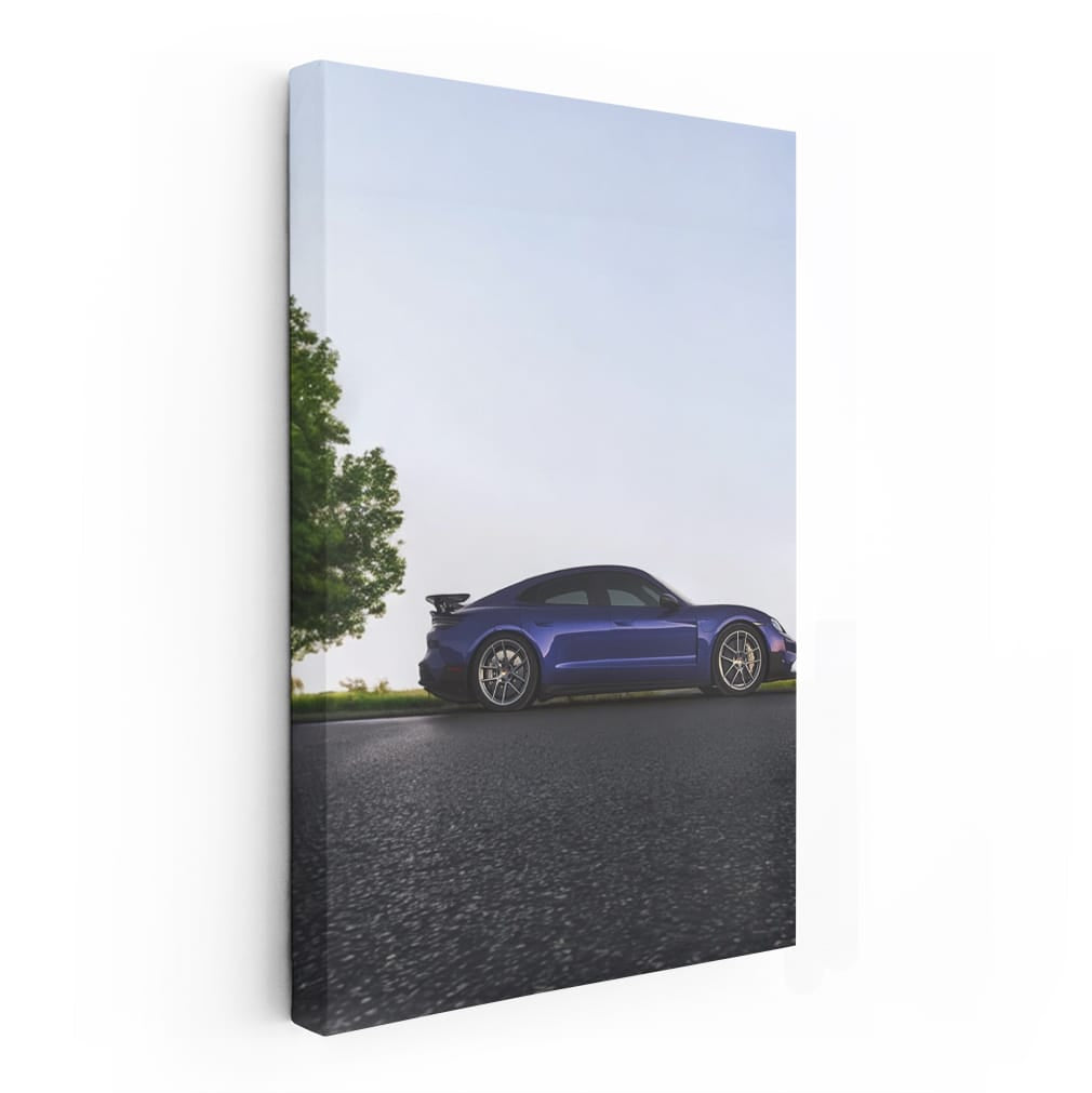 Black Porsche 911 Speedster in Nature - Elegance and Power