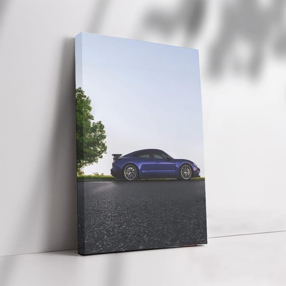 Black Porsche 911 Speedster in Nature - Elegance and Power