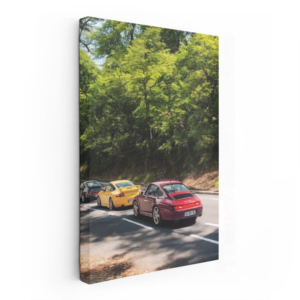 Porsche Car Gathering in Nature - Performance and Elegance