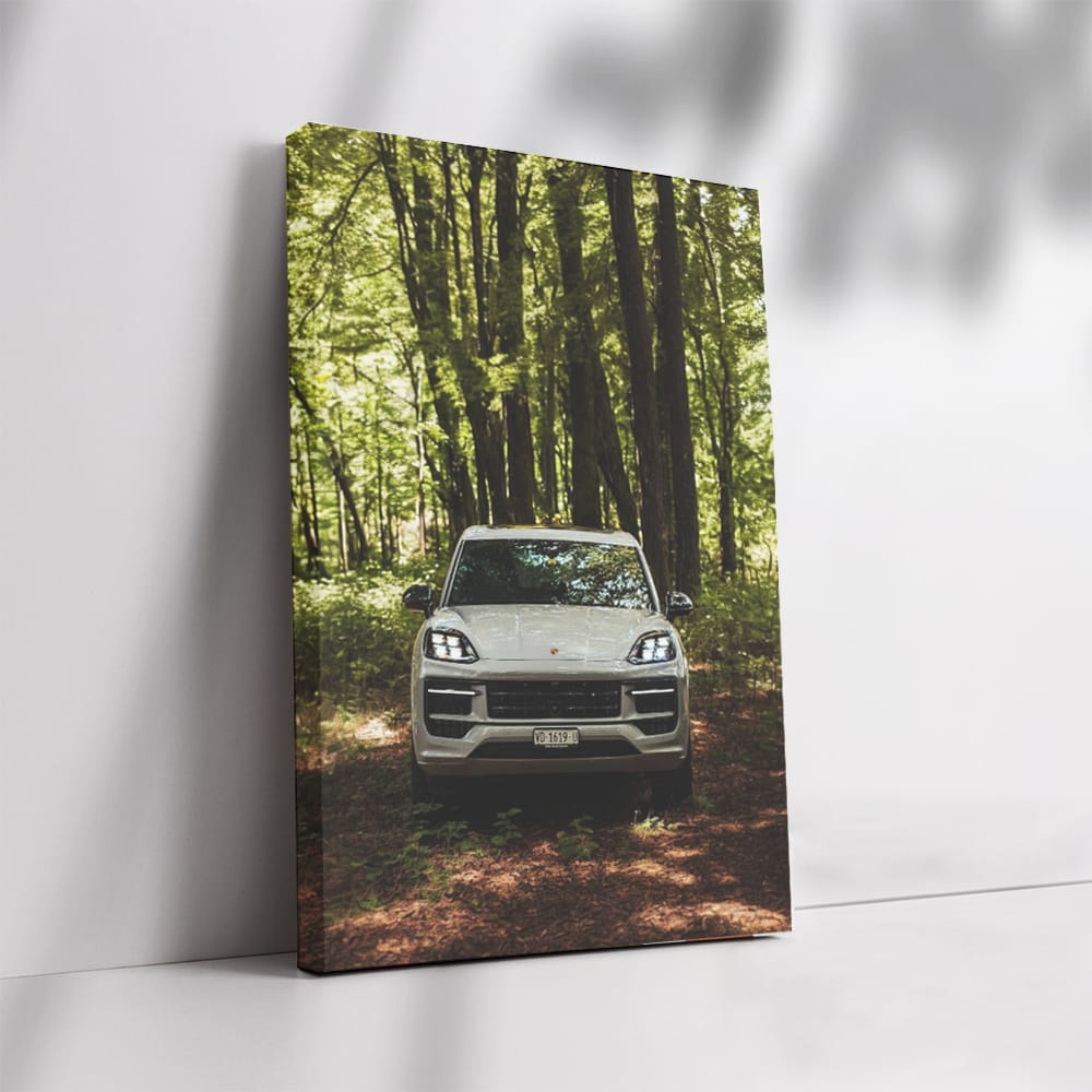 Porsche Cayenne S in Wilderness - Adventure Awaits