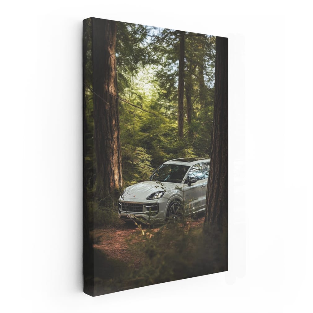 Porsche Cayenne S in Woodland - Adventurous Spirit