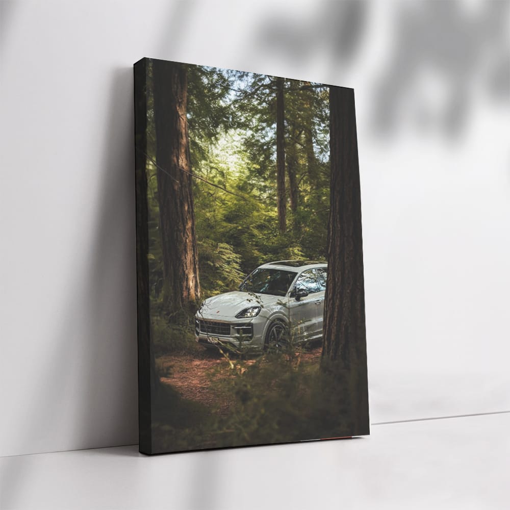 Porsche Cayenne S in Woodland - Adventurous Spirit