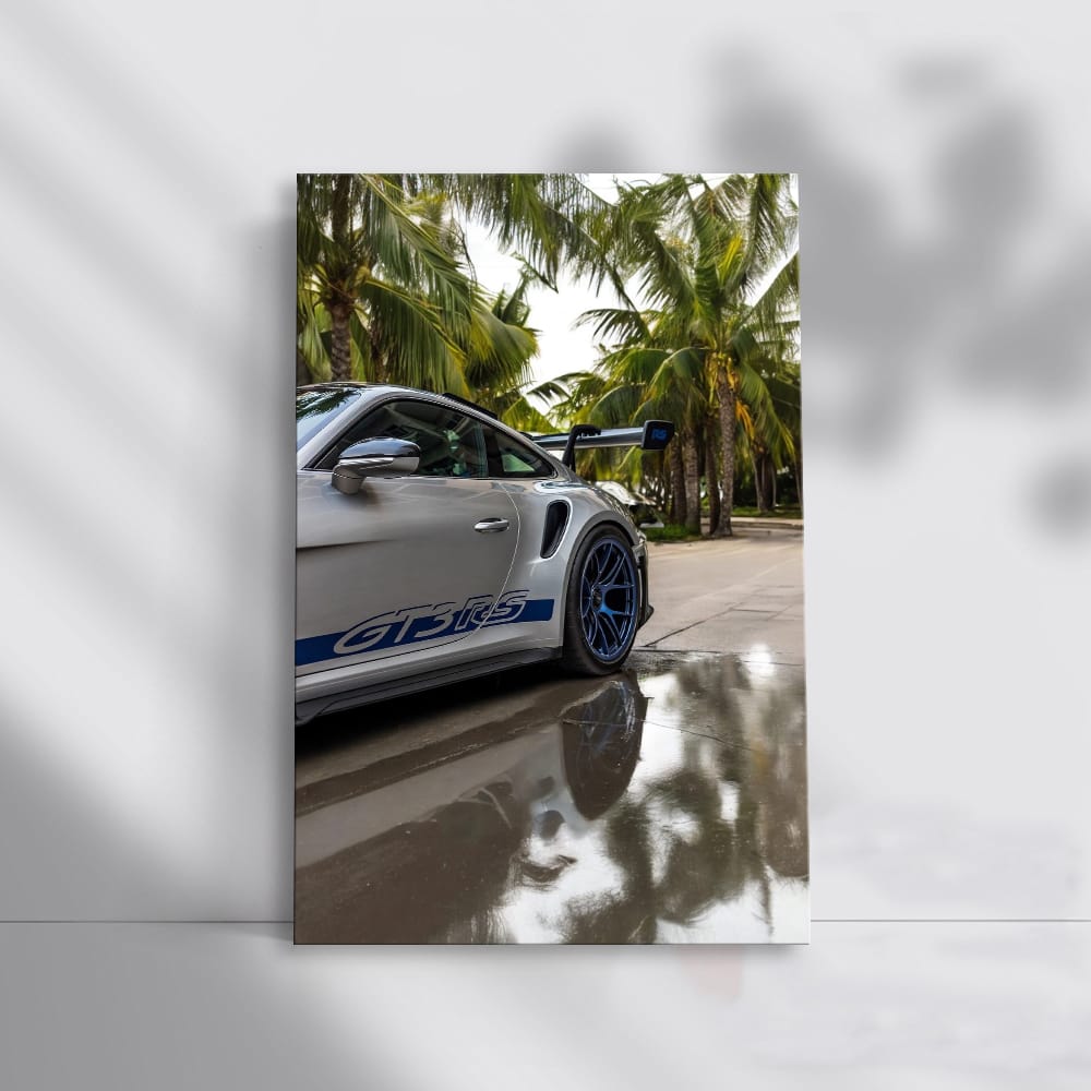 Porsche GT3 RS by Palm Trees - Ultimate Sports Machine