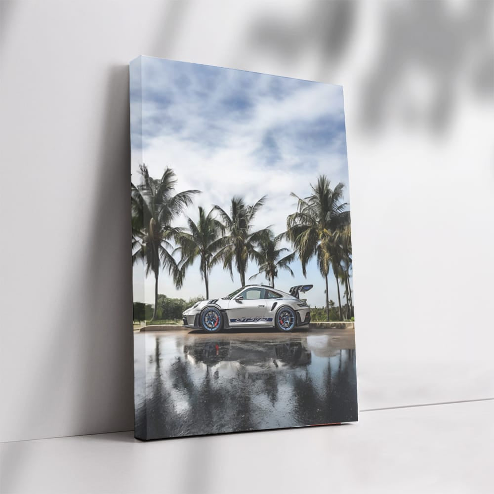Porsche GT3 RS by Palm Trees - Speed and Elegance