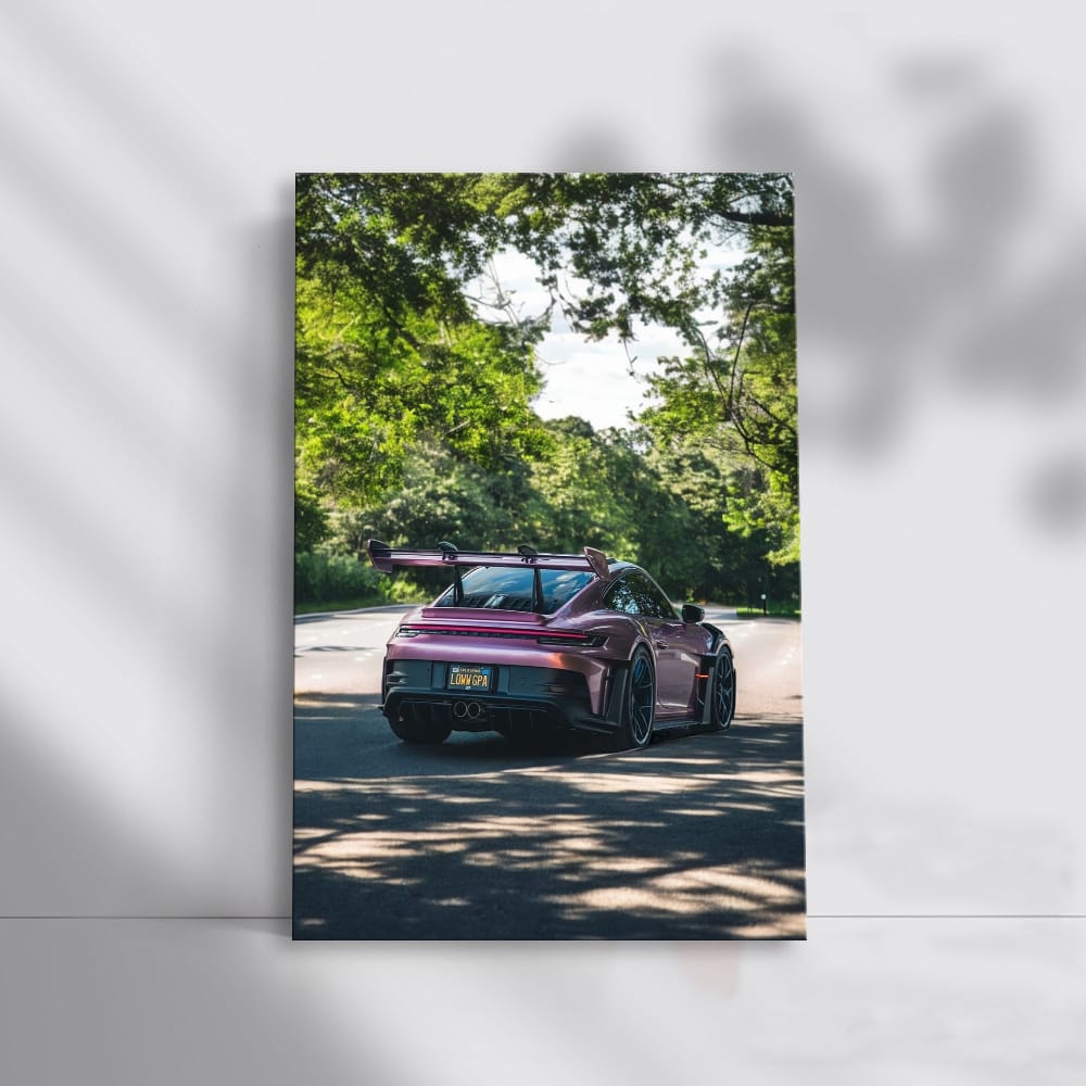 Porsche 992 GT3 RS Shimmering Rose in Park - Ultimate Thrill