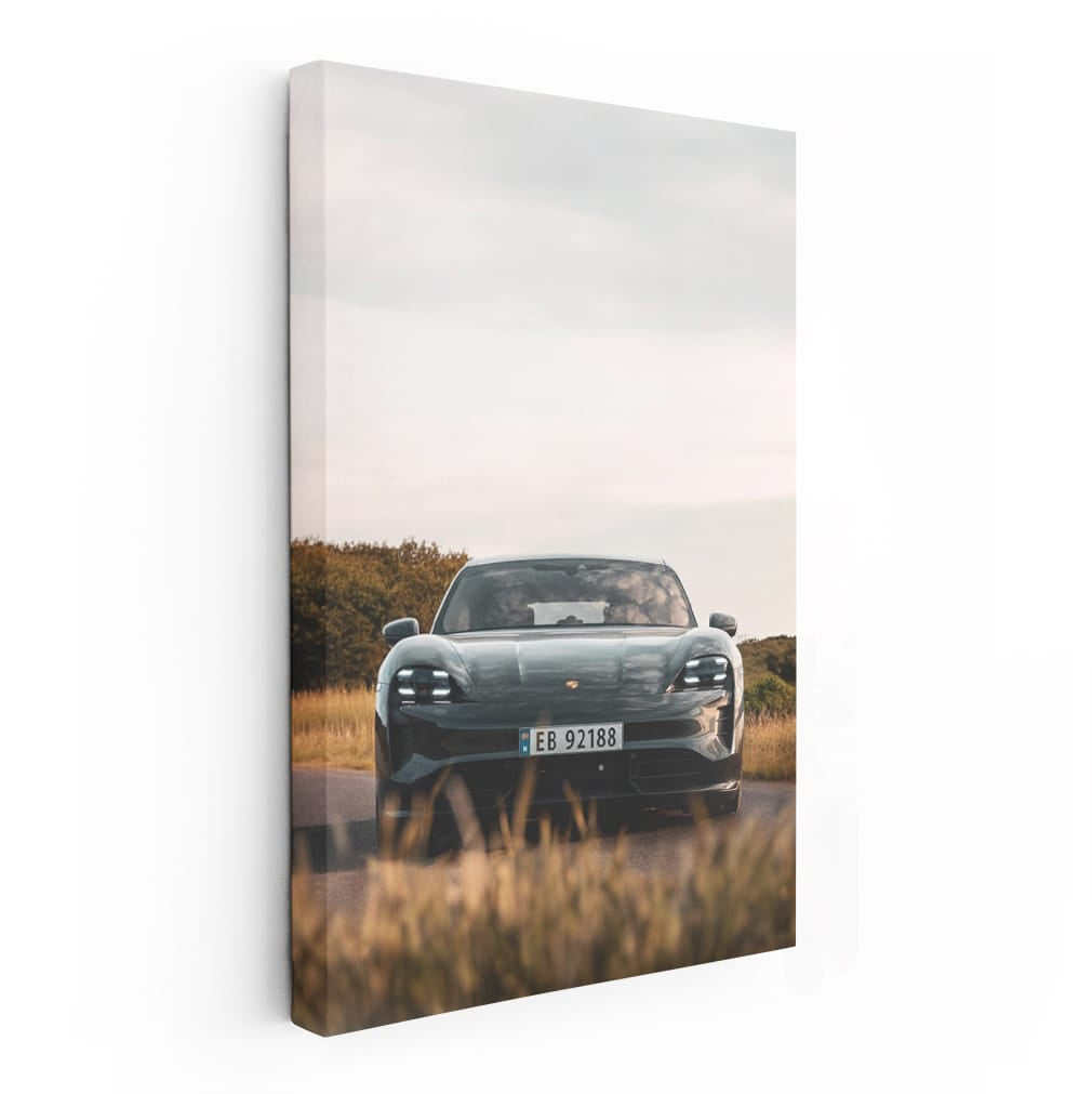 Porsche Taycan RWD in Field: Elegance Meets Performance