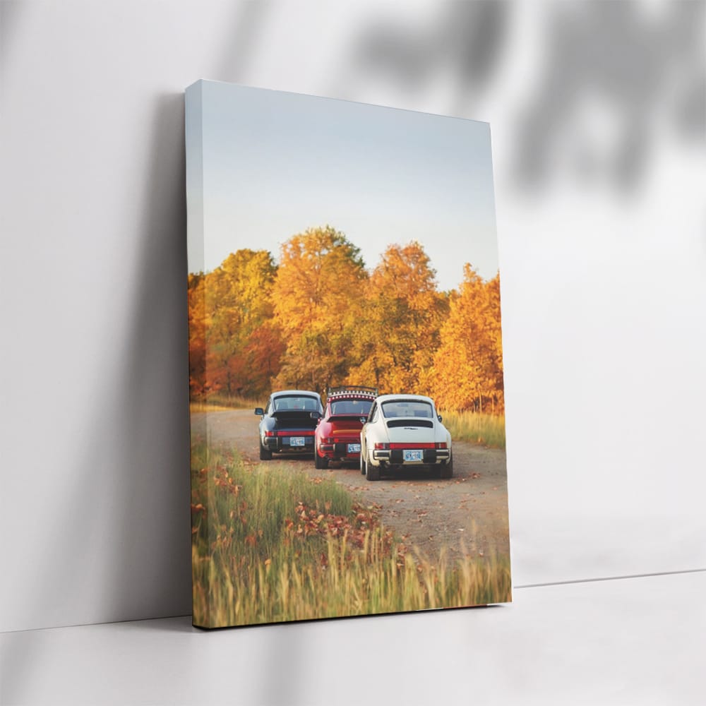 Classic Porsche Cars Amidst Autumn Foliage - Timeless Elegance