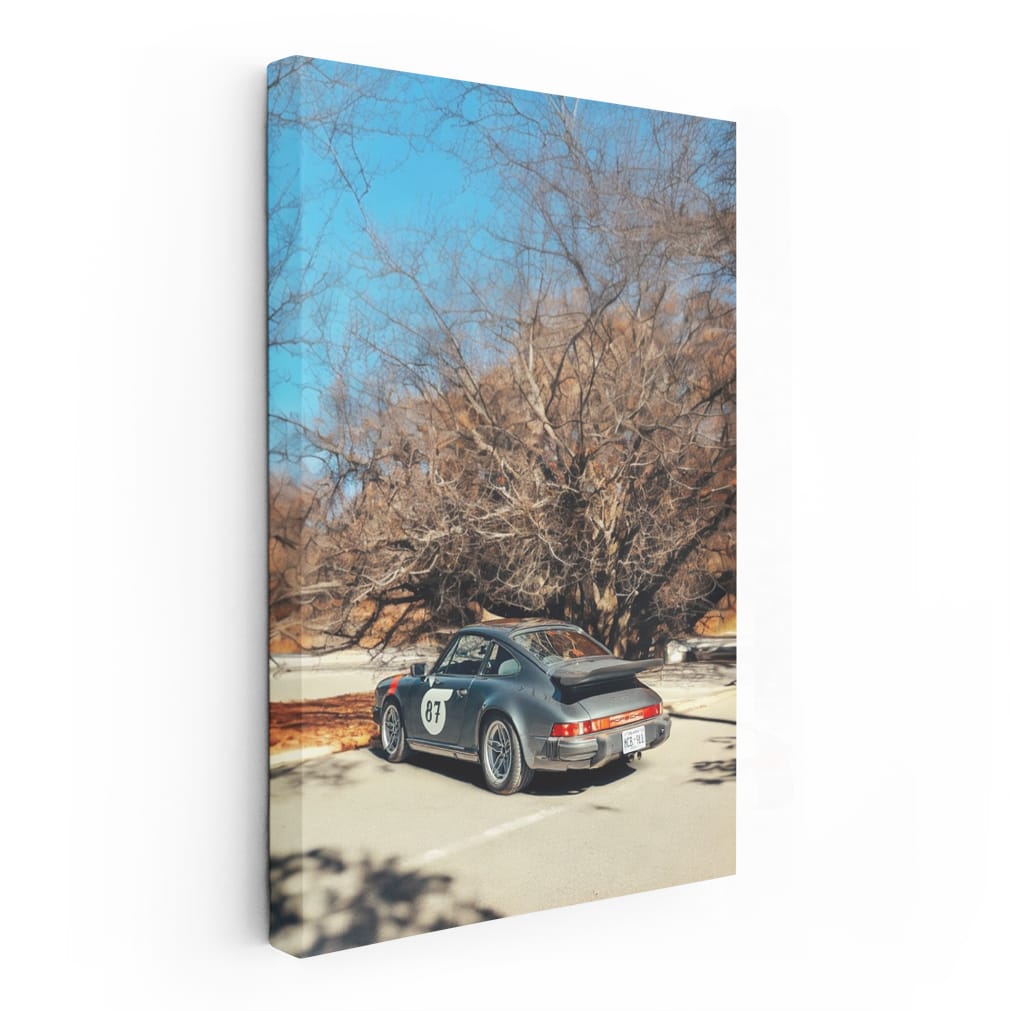 Classic Porsche 911 in Forest - Timeless Sport Elegance