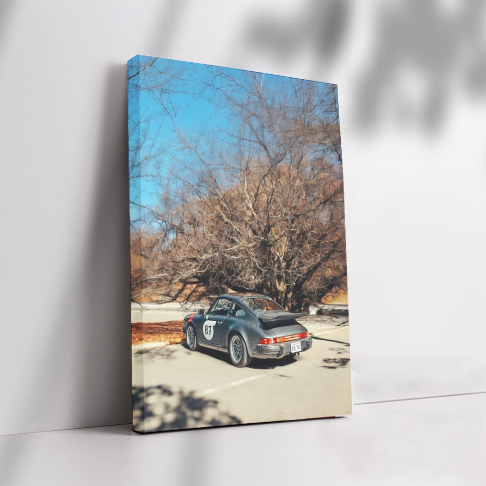 Classic Porsche 911 in Forest - Timeless Sport Elegance