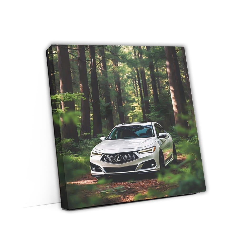 Acura TLX Type S in White - Elegance Meets Adventure