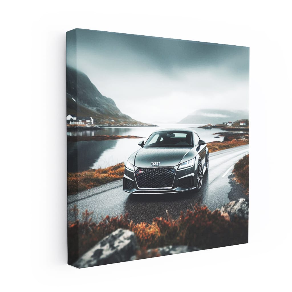 Audi TT RS in Overcast - Performance Meets Style